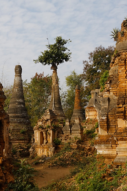 Inlé-Paya Shwe Inthein-073